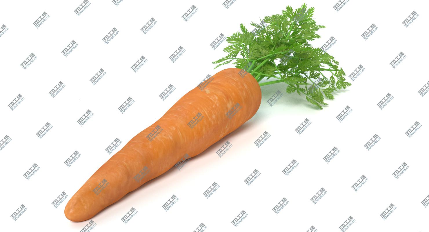images/goods_img/2021040235/Carrot 2/5.jpg
